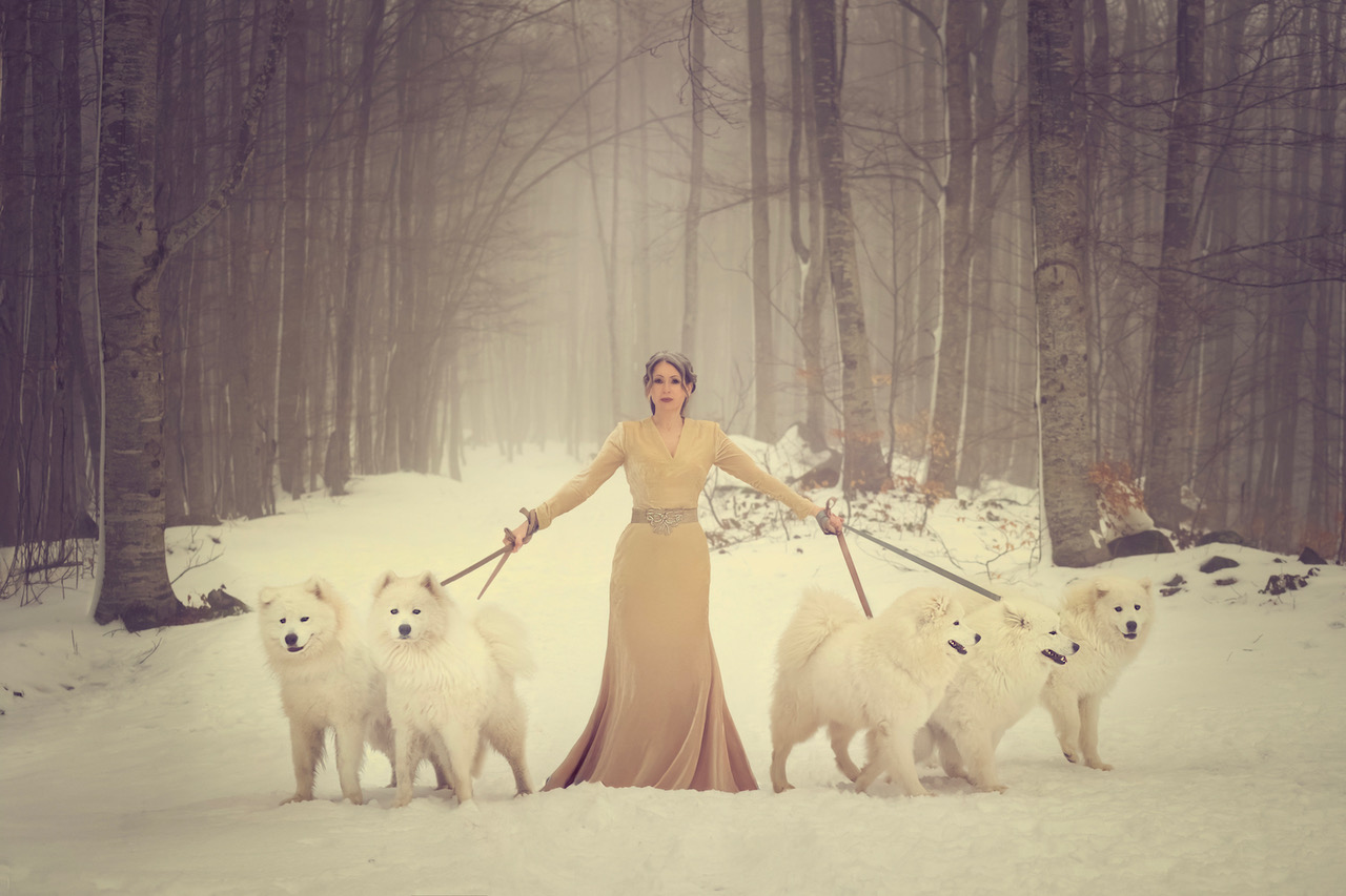 The Silence of Resilience — Moevir Magazine